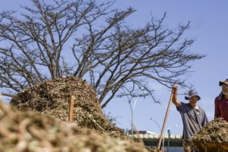 sistemas-agroecologicos-de-quatro-biomas-sao-criados-em-brasilia