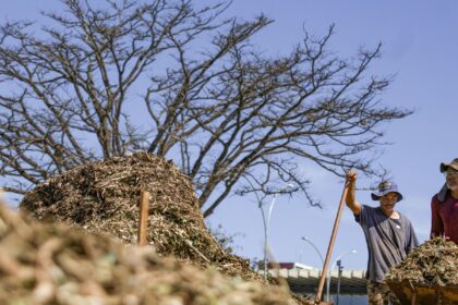 sistemas-agroecologicos-de-quatro-biomas-sao-criados-em-brasilia