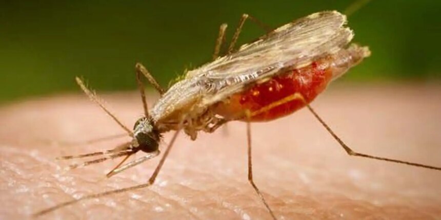 cientistas-da-fiocruz-podem-produzir-vacina-completa-contra-a-malaria