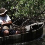 inss-paga-em-julho-r$-874-milhoes-a-149,5-mil-pescadores