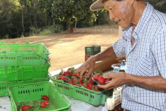 finep-vai-pagar-r$-220-milhoes-para-inovacoes-em-agricultura-familiar