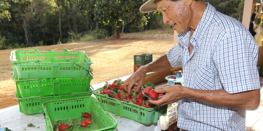 finep-vai-pagar-r$-220-milhoes-para-inovacoes-em-agricultura-familiar