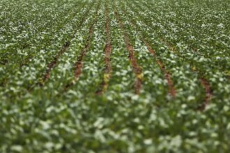entenda-impasse-entre-bancada-do-agro-e-governo-sobre-dividas-rurais