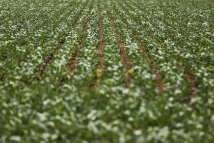 entenda-impasse-entre-bancada-do-agro-e-governo-sobre-dividas-rurais