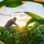 mp-de-divida-rural-foca-em-perdas-climaticas,-diz-durigan