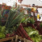 decreto-adia-exigencia-de-cnpj-para-autonomos-e-produtores-rurais