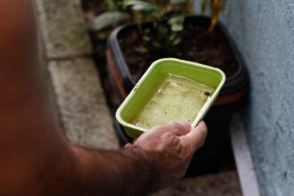 el-nino-pode-aumentar-casos-de-chikungunya-e-dengue-no-brasil