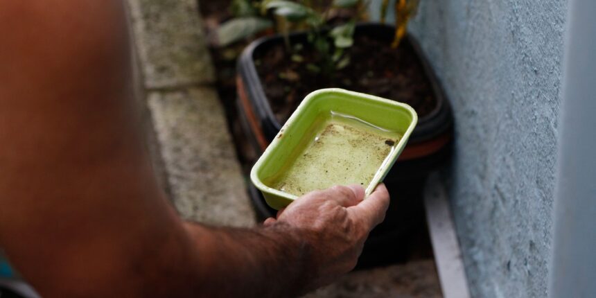 el-nino-pode-aumentar-casos-de-chikungunya-e-dengue-no-brasil