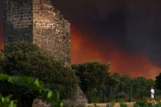 incendios-florestais-ameacam-cidade-historica-francesa-de-bordeaux