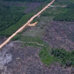 eco-invest-brasil-promove-quinto-leilao-para-financiar-inovacao