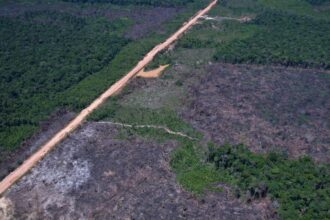 eco-invest-brasil-promove-quinto-leilao-para-financiar-inovacao