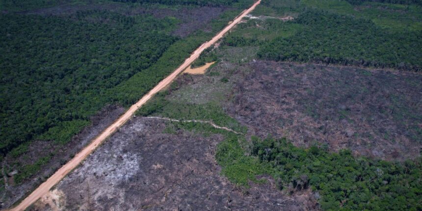 eco-invest-brasil-promove-quinto-leilao-para-financiar-inovacao