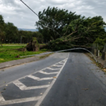 vento-chega-a-125-km/h-e-provoca-ao-menos-duas-mortes-em-sao-paulo