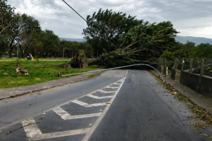 vento-chega-a-125-km/h-e-provoca-ao-menos-duas-mortes-em-sao-paulo