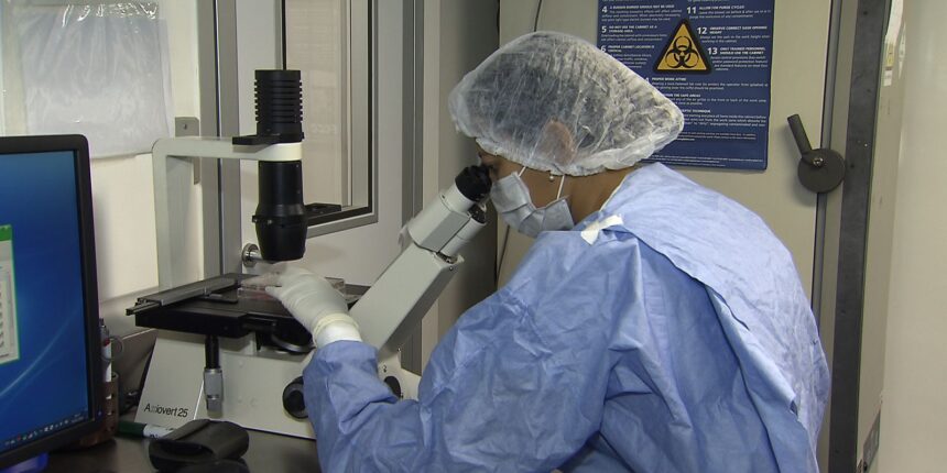 saiba-como-cientistas-“curaram”-pacientes-infectados-com-hiv