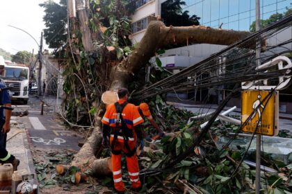 rede-eletrica-mais-resiliente-requer-investimento-de-concessionarias