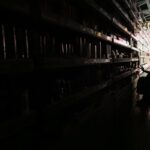 saiba-como-pedir-ressarcimento-por-prejuizos-com-a-falta-de-energia