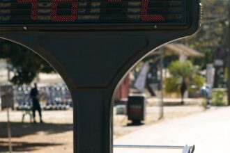 ondas-de-calor-ainda-sao-negligenciadas-no-brasil,-diz-pesquisadora