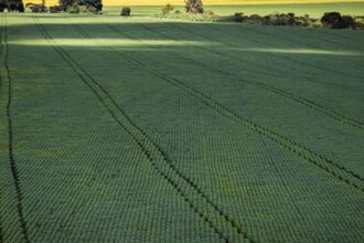 senado-aprova-plano-para-fabricacao-de-fertilizantes-no-brasil