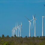 projeto-mapeia-caminhos-para-economia-verde-no-nordeste