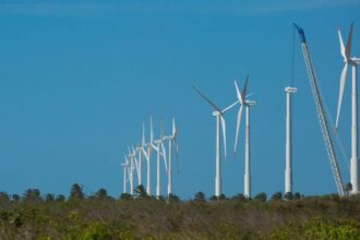 projeto-mapeia-caminhos-para-economia-verde-no-nordeste