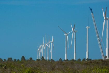 projeto-mapeia-caminhos-para-economia-verde-no-nordeste