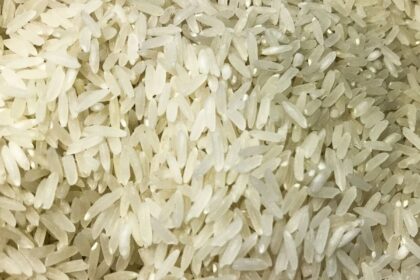 terremoto:-brasil-doara-10-toneladas-de-arroz-a-colombia