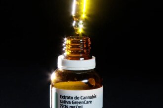 autorizacoes-para-importacao-de-cannabis-aumentam-29%-em-2026