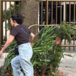 meteorologia-emite-alerta-de-ventos-de-ate-100-km/h-no-rio