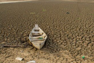 brasil-promete-restaurar-163-mil-km-de-terras-degradadas-ate-2030
