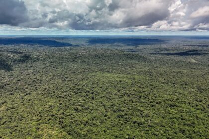 fazenda-autoriza-credito-de-us$-1-bilhao-do-bid-para-eco-invest-brasil