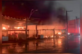 incendio-atinge-pavilhao-de-frutas-no-ceagesp;-nao-ha-vitimas