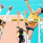 brasil-supera-venezuela-em-estreia-no-sul-americano-de-volei-feminino