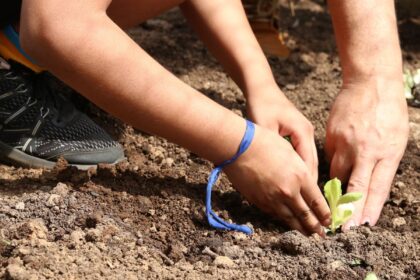 entidades-pedem-apoio-de-candidatos-em-defesa-da-agroecologia
