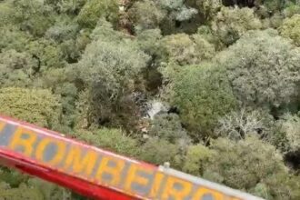 cenipa-abre-investigacao-para-apurar-causas-de-queda-de-helicoptero