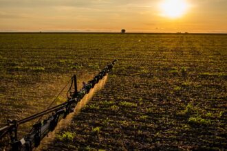 seguro-rural:-novas-regras-ampliam-cobertura-e-protecao-ao-produtor