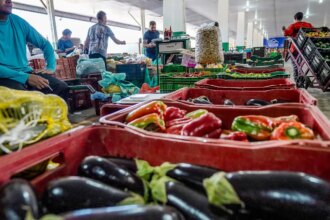 campanha-busca-engajamento-para-reduzir-desperdicio-de-alimento