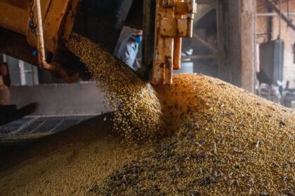 producao-brasileira-de-graos-deve-aumentar-apesar-do-el-nino