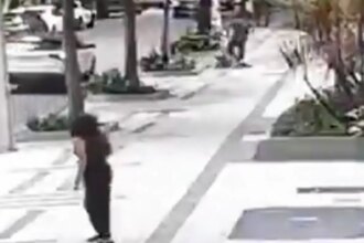 professora-aposentada-da-ufrj-e-baleada-em-assalto-na-zona-sul-do-rio