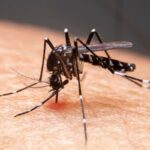mudancas-climaticas-ja-causam-aumento-de-doencas-infecciosas-no-pais